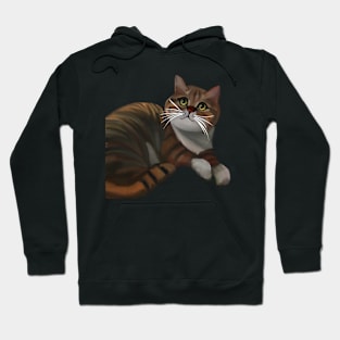 Cat lying on the floor Hoodie